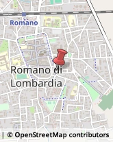 Lavoro Interinale Romano di Lombardia,24058Bergamo