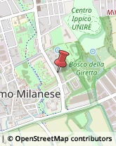 Agenzie Immobiliari Settimo Milanese,20019Milano