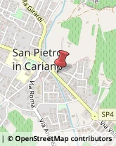 Musica e Canto - Scuole San Pietro in Cariano,37029Verona