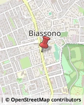 Società Immobiliari Biassono,20853Monza e Brianza