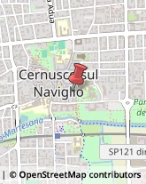 Psichiatria e Neurologia - Medici Specialisti Cernusco sul Naviglio,20063Milano