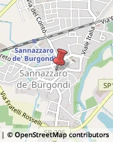 Alimentari Sannazzaro de' Burgondi,27039Pavia