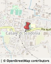 Ferramenta Casale di Scodosia,35040Padova