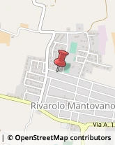 Insetticidi e Anticrittogamici Rivarolo Mantovano,46017Mantova