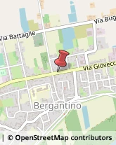 Aziende Agricole Bergantino,45032Rovigo