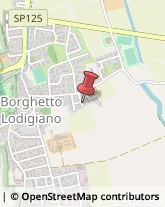 Agenti e Rappresentanti di Commercio Borghetto Lodigiano,26812Lodi