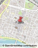 Pollame, Conigli e Selvaggina - Dettaglio Pavia,27100Pavia