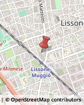 Massaggi Lissone,20851Monza e Brianza