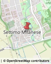 Medicina Sportiva - Medici Specialisti Settimo Milanese,20019Milano