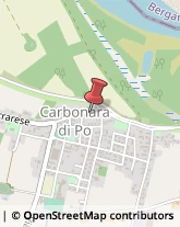 Consulenza Commerciale Carbonara di Po,46020Mantova