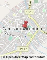 Pelliccerie Camisano Vicentino,36043Vicenza