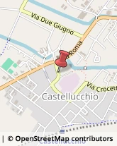 Prosciuttifici e Salumifici - Vendita Castellucchio,46014Mantova