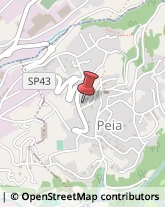 Scuole Pubbliche Peia,24020Bergamo