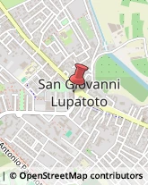 Articoli Sportivi - Dettaglio San Giovanni Lupatoto,37057Verona