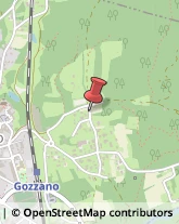 Trasporti Gozzano,28024Novara