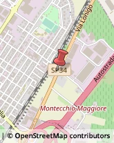 Strade - Manutenzione e Costruzione Montecchio Maggiore,36075Vicenza