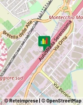 Trasporti Internazionali Brendola,36040Vicenza