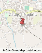 Istituti di Bellezza Casale di Scodosia,35040Padova