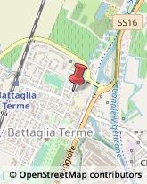 Frutta e Verdura - Dettaglio Battaglia Terme,35041Padova