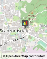 Partiti e Movimenti Politici Scanzorosciate,24020Bergamo