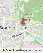 Partiti e Movimenti Politici Scanzorosciate,24020Bergamo