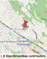 Importatori ed Esportatori Cocquio-Trevisago,21034Varese