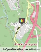 Alimentari Brovello-Carpugnino,28833Verbano-Cusio-Ossola