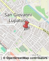 Case di Riposo e Istituti di Ricovero per Anziani San Giovanni Lupatoto,37057Verona