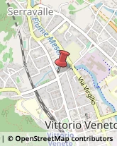 Trasporti Internazionali Vittorio Veneto,31029Treviso