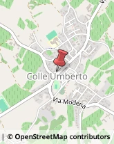 Amministrazioni Immobiliari Colle Umberto,31014Treviso