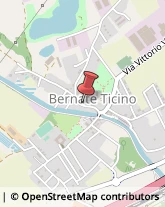 Pizzerie Bernate Ticino,20010Milano