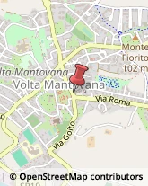 ,46049Mantova