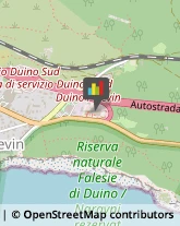 ,34011Trieste