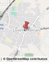 Ottica, Occhiali e Lenti a Contatto - Dettaglio Livorno Ferraris,13046Vercelli