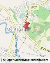 Osterie e Trattorie Montegalda,36047Vicenza