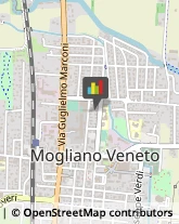 Depurazione Inquinanti Atmosferici - Servizi e Impianti Mogliano Veneto,31021Treviso