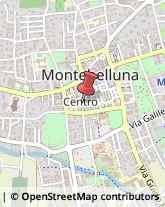 Consulenza del Lavoro Montebelluna,31044Treviso