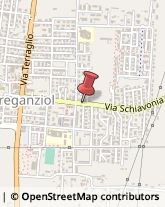 Cantine Sociali Preganziol,31022Treviso