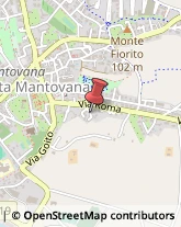 ,46049Mantova