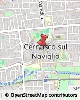 Consulenze Speciali Cernusco sul Naviglio,20063Milano