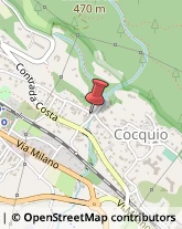 Ristoranti Cocquio-Trevisago,21034Varese