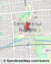 Formazione, Orientamento e Addestramento Professionale - Scuole Cernusco sul Naviglio,20063Milano