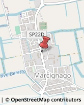 Calzature - Dettaglio Marcignago,27020Pavia