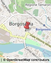 Borse - Dettaglio Borgosesia,13011Vercelli