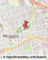 Imprese di Pulizia Muggiò,20835Monza e Brianza