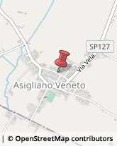 Agenti e Mediatori d'Affari Asigliano Veneto,36020Vicenza