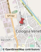Detergenti Industriali Cologna Veneta,37044Verona