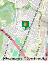 Locali, Birrerie e Pub Gallarate,21013Varese