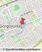 Assicurazioni Gorgonzola,20064Milano