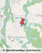 Piante e Fiori - Ingrosso Caprino Bergamasco,24030Bergamo